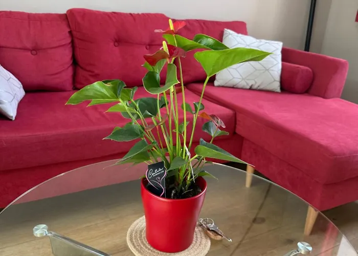 Maison Familiale Et Cosy A La